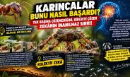 KARINCALAR BUNU NASIL BAŞARDI? TEK BAŞINA ÇÖZEMEDİĞİNİ, BİRLİKTE ÇÖZEN ZEKÂNIN İNANILMAZ SIRRI!